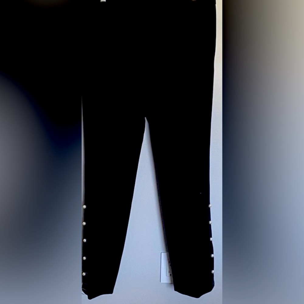 ISO Ann Taylor Pearlized Trousers in a size 10.